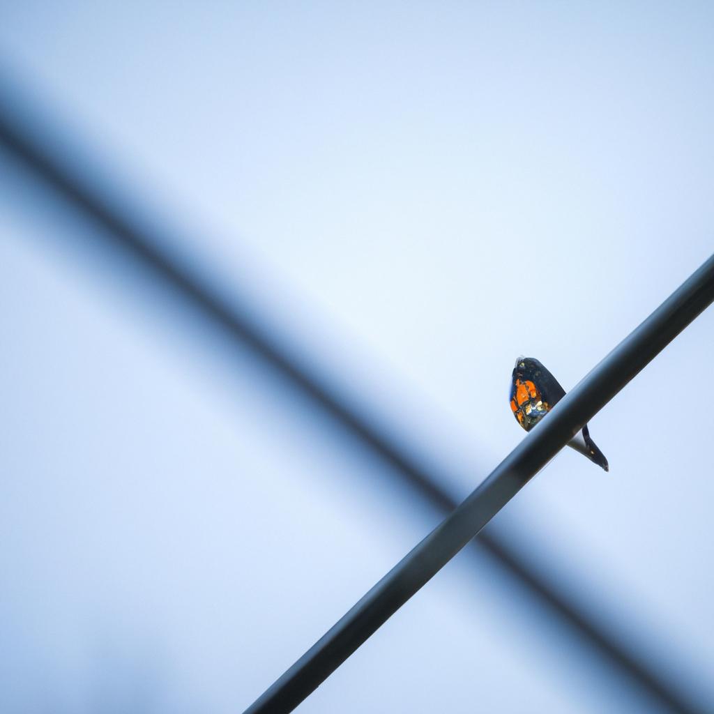 自然体験がもたらす癒し