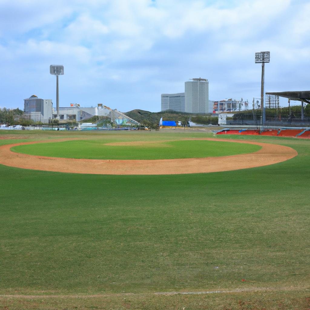 魅力的な野球観戦