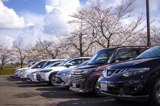 沖縄を自分のペースで楽しむための車選び　沖縄大洋レンタカー那覇空港店