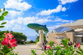 美ら海水族館も古宇利島もラクラク！沖縄大洋レンタカー那覇空港店