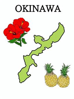 沖縄本島を1日で満喫｜自由自在のレンタカー旅　沖縄大洋レンタカー那覇空港店