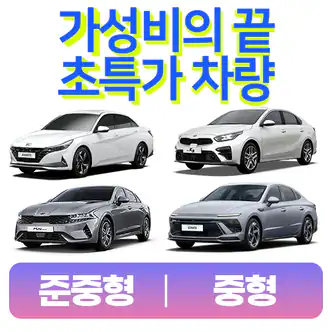 부담 없는 가격, 오키나와 렌터카