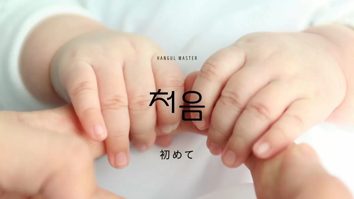 처음이어도 안심하고 즐기는 드라이브