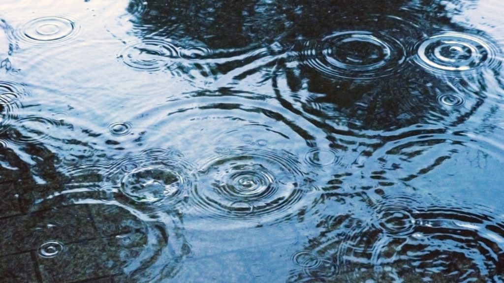 人数分の傘を無料でご用意。急な雨も気にせず、快適なドライブへいってらっしゃいませ！