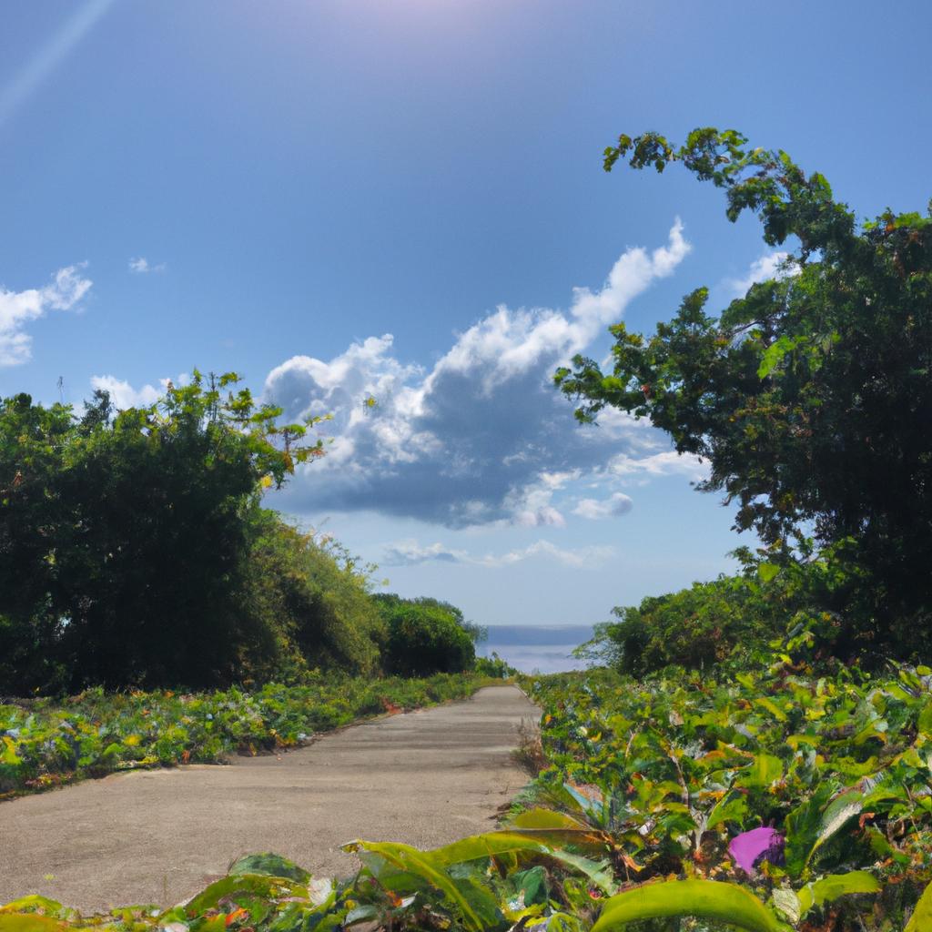 走るたびに、沖縄が好きになる。